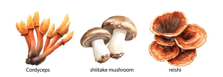 adaptogenic mushrooms types 1