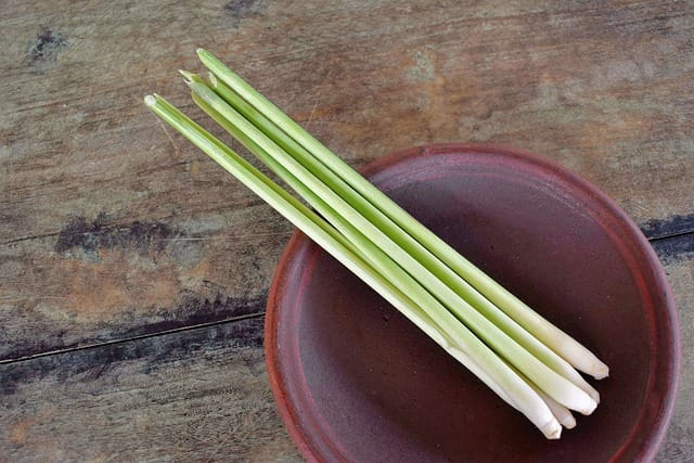 a image of lemongrass herb